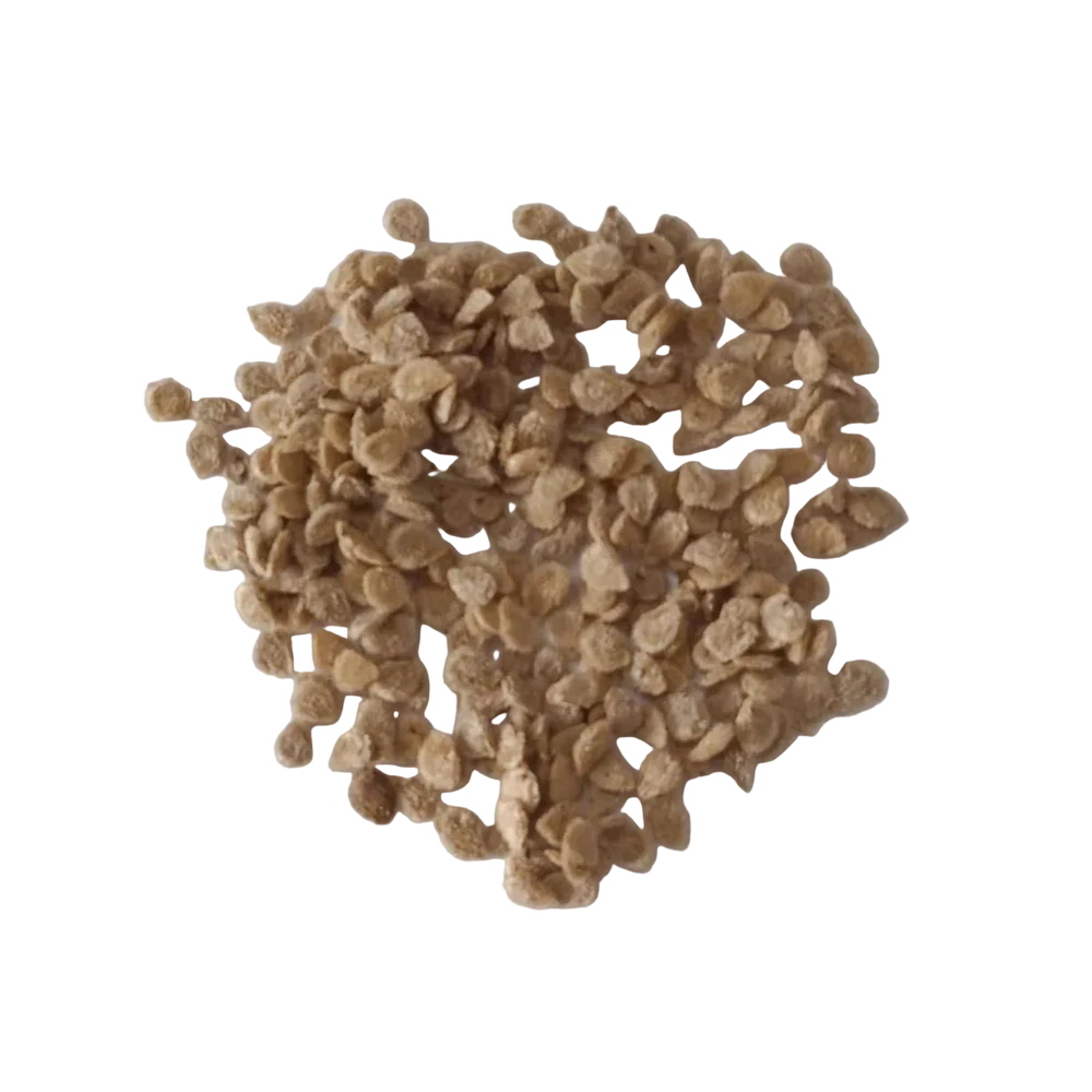 Desi Tomato Native Seeds | Open Pollinated