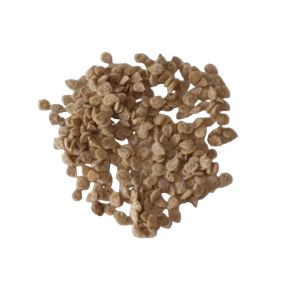 Desi Tomato Native Seeds | Open Pollinated