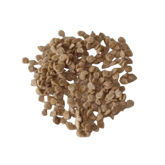 Desi Tomato Native Seeds | Open Pollinated