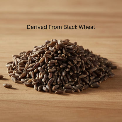 Nutrient-Rich Whole Grain Black Wheat / Kala Gehu Flour - NEUTRIFARM | Harvesting Health